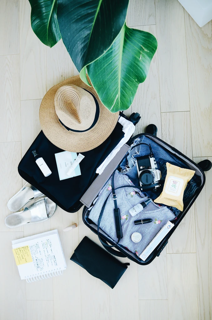 What Are the Best Travel Insurance Providers in India?